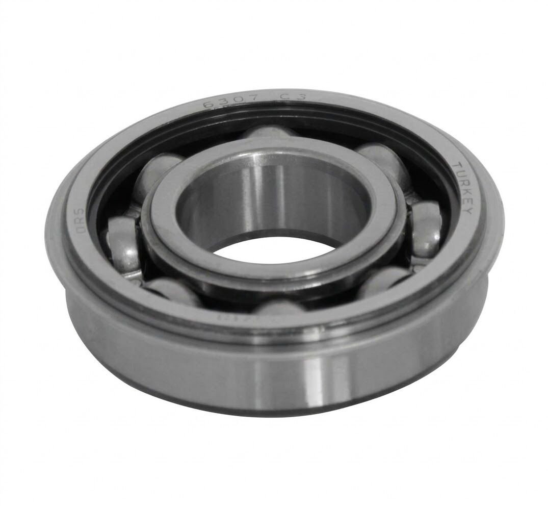 RULMAN GRUP 6307 ZNR